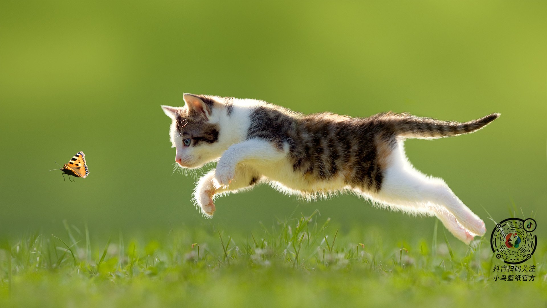 法甲“冠军之夜”汇聚最佳球星,法甲冠军奖牌