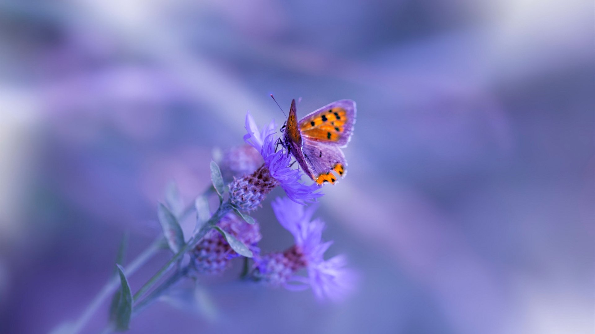九游游戏-特色乡村漂流节，水上运动新玩法，水上漂流项目由哪个部门审批