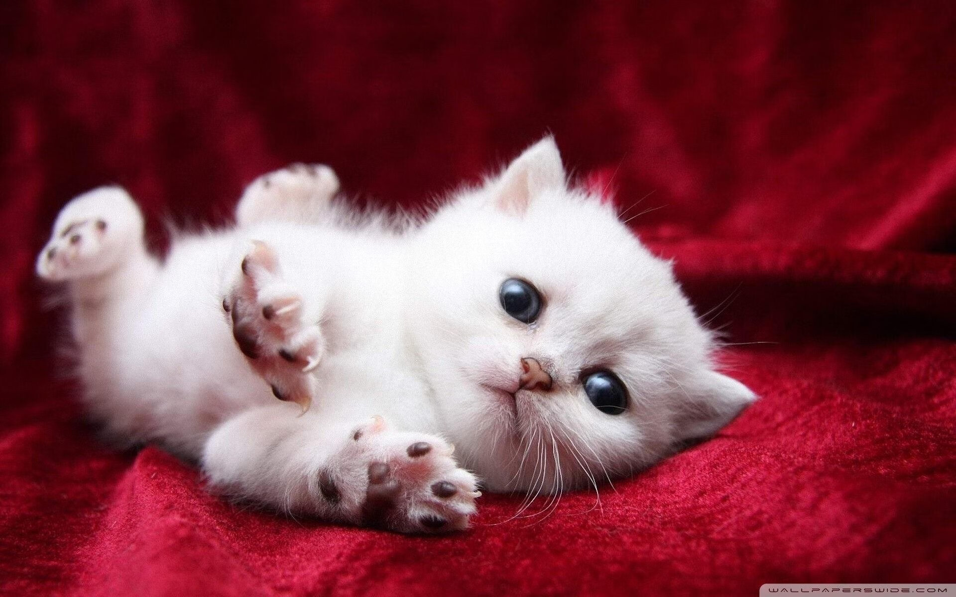 火山脚下的猜谜赛：融合观光与运动