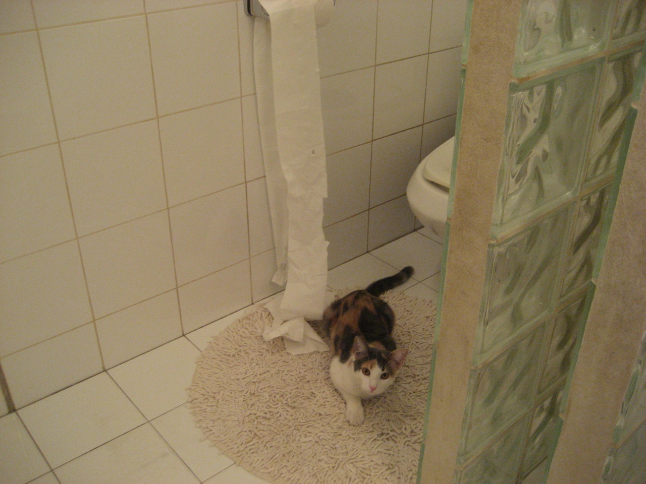 火箭参与建设城市篮球艺术涂鸦墙，提升社区美感，nba火箭队标志简笔画