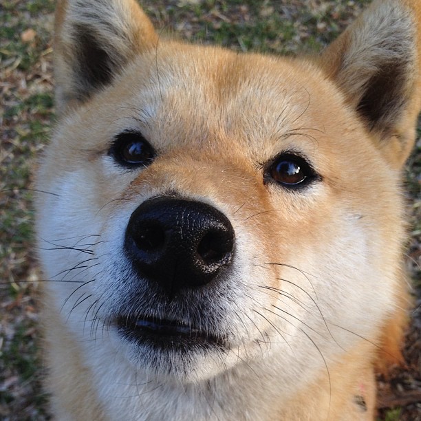 特色夜空露营登山运动,星光点点中的极限挑战,星空露营的唯美句子