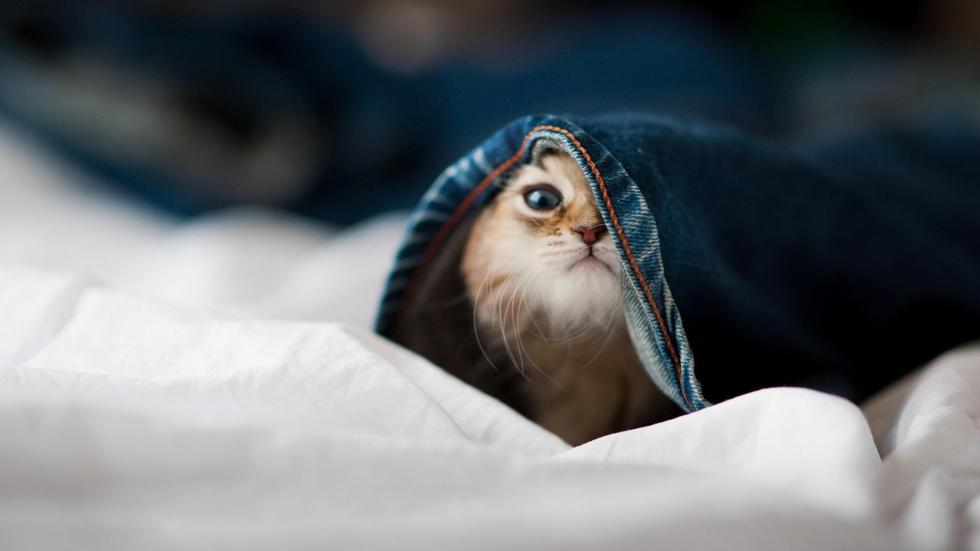 湖南省青少年篮球运动员技术培训班成功举办，湖南省篮球协会