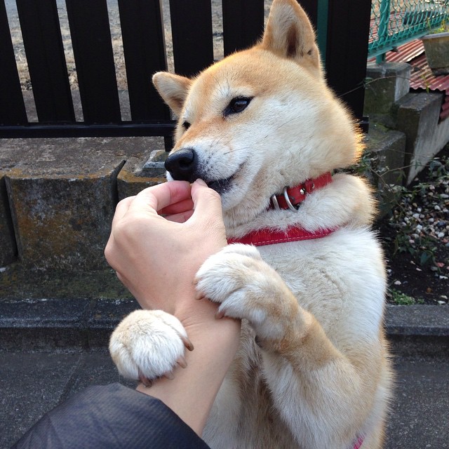 九游体育官网入口-NBA全明星赛即将来临，nba全明星赛开赛时间