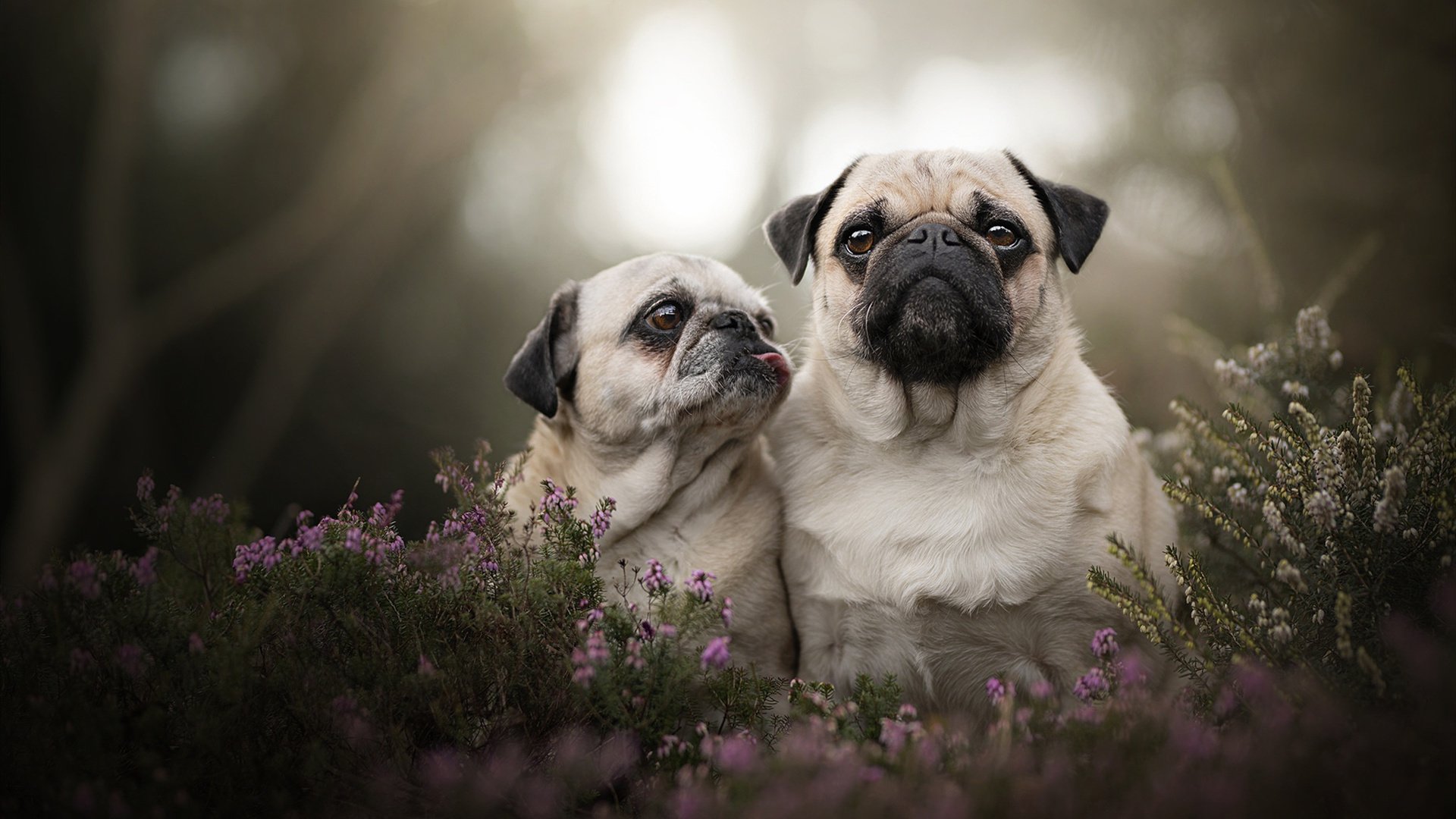 九游娱乐下载-亚洲球队主帅谈未来发展规划，足球亚洲球员