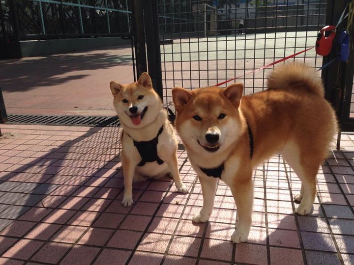 悬念不断！欧国联赛场上精彩连连，欧国联赛程2021分组