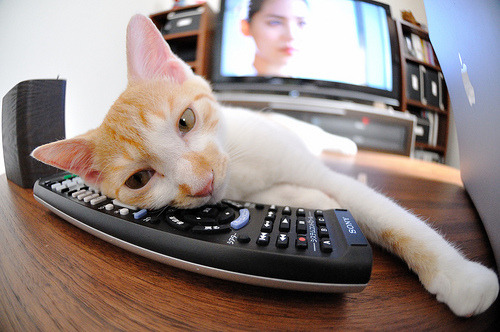 校园体育安全管理策略研究，校园体育安全管理策略研究报告