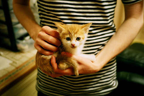 九游官网APP-英超裁判语义分析提升VAR判罚准确性的实践研究，足球var裁判