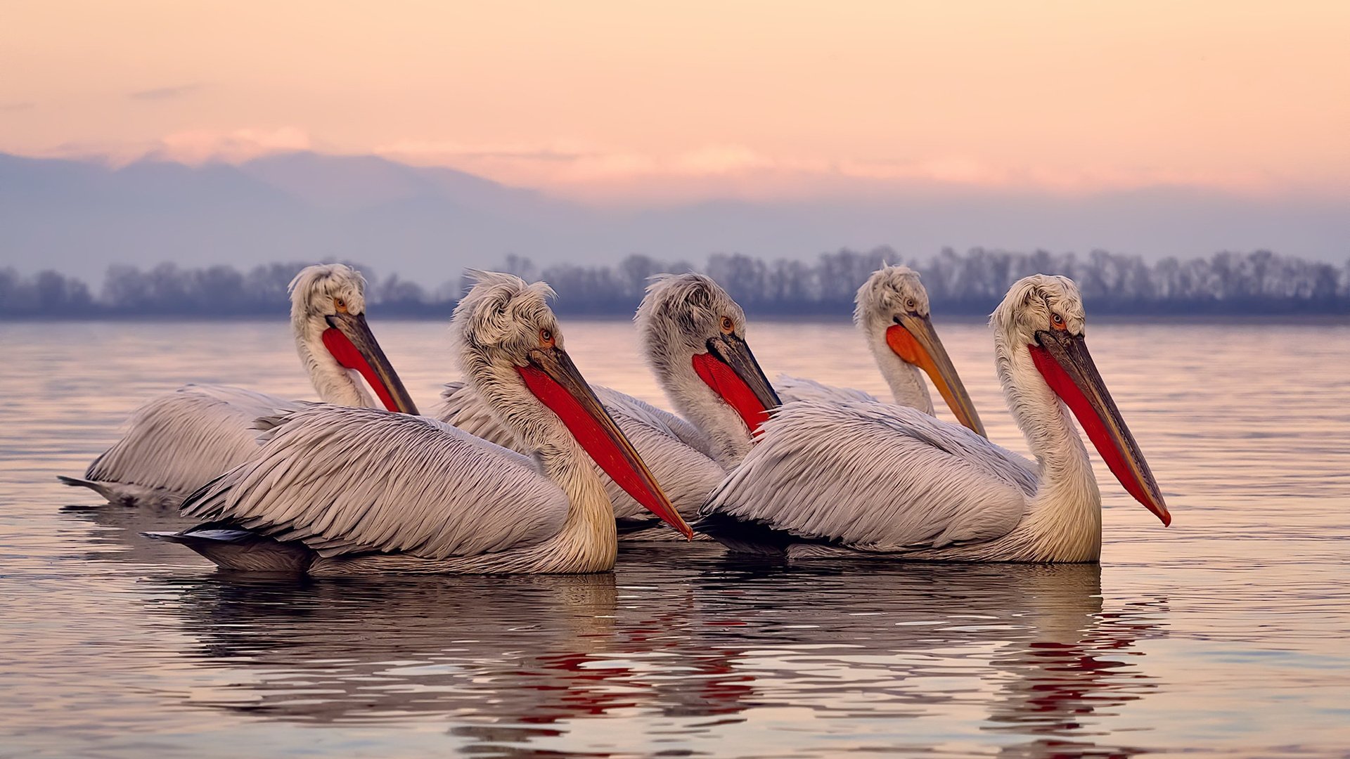 九游登录入口-亚冠联赛中国队战败 球迷讨论进攻手段，亚冠联赛中国队战败 球迷讨论进攻手段是什么